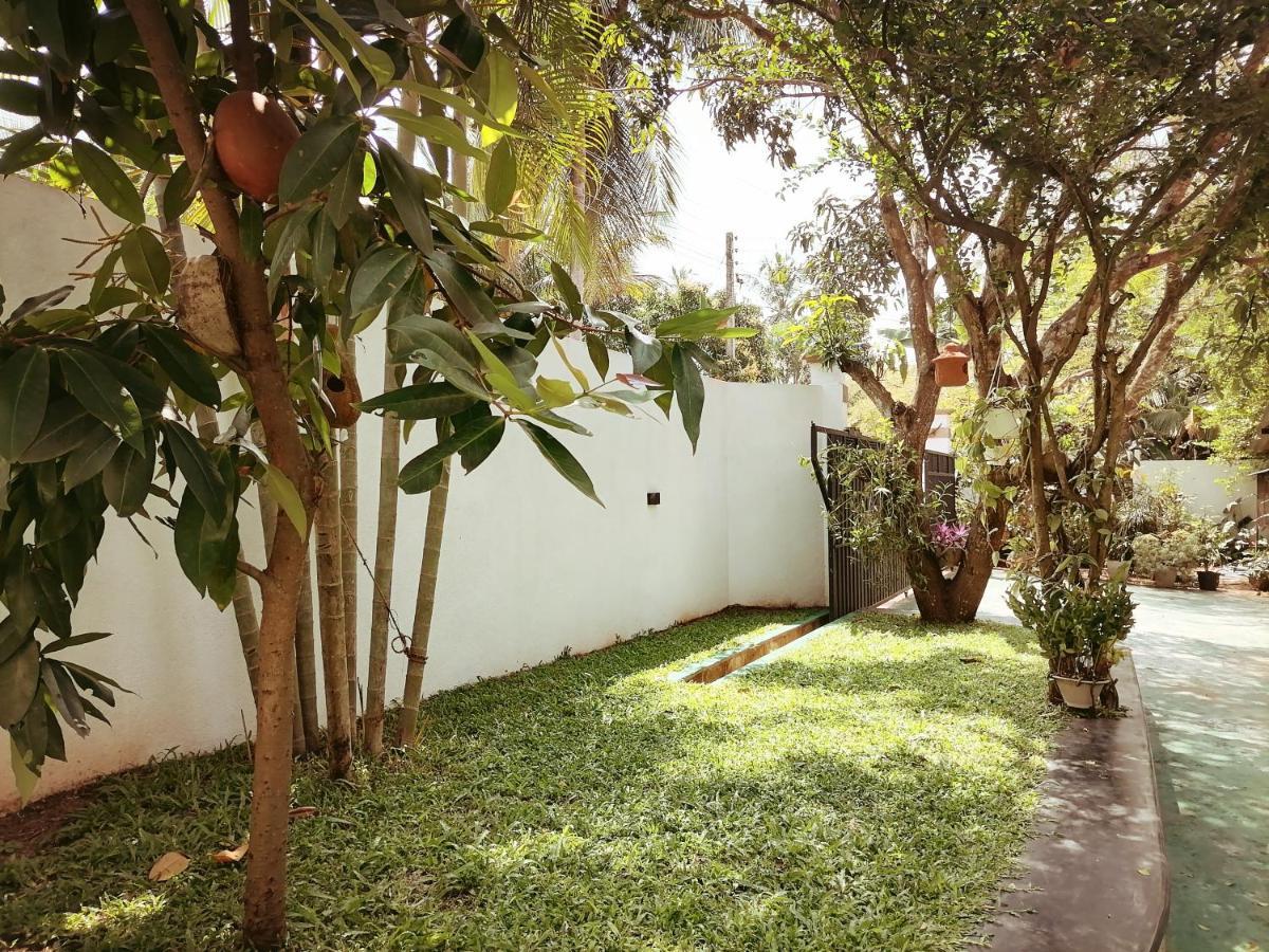 Ceylonima Home Stay Anuradhapura Dış mekan fotoğraf