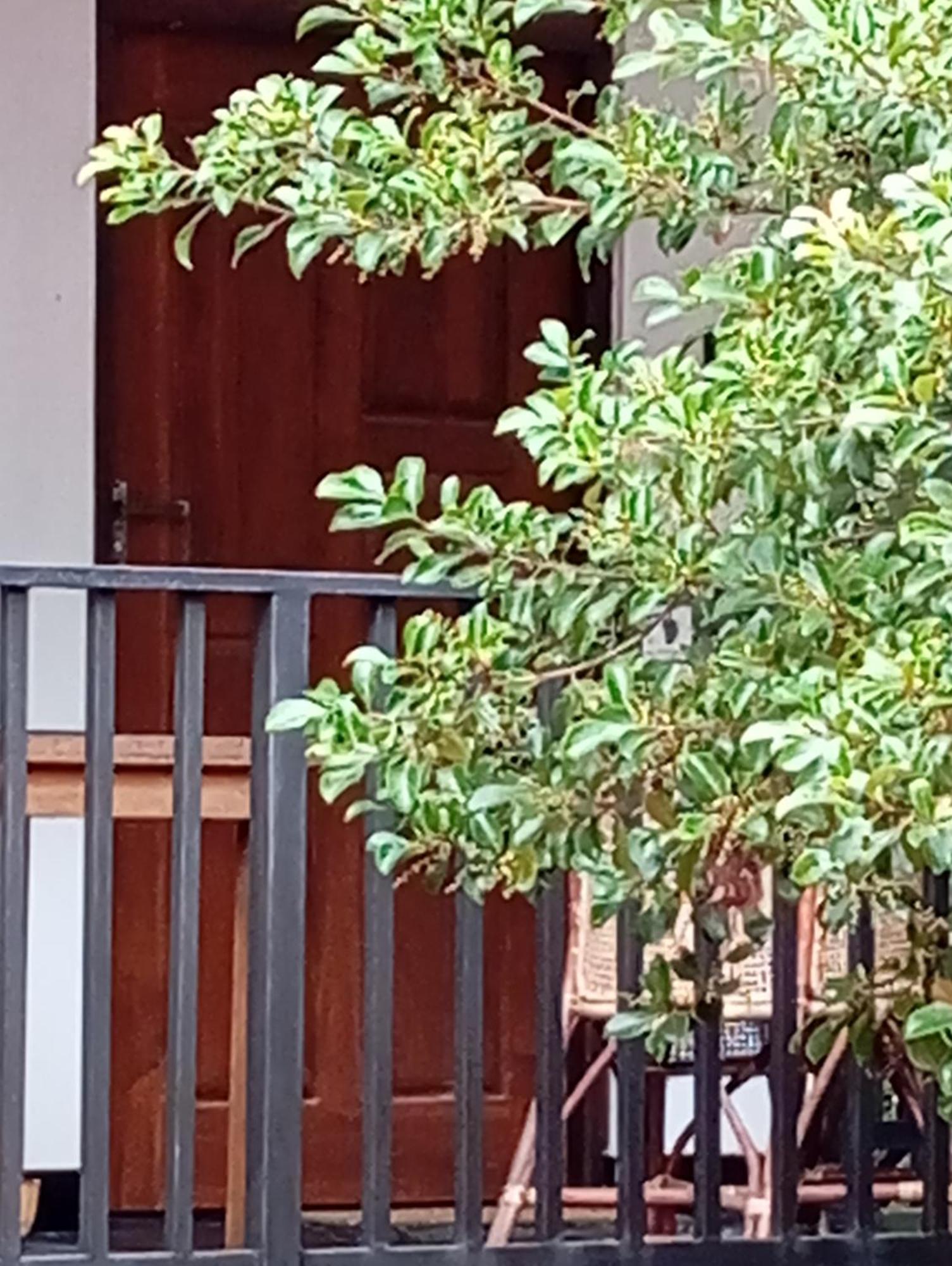 Ceylonima Home Stay Anuradhapura Oda fotoğraf
